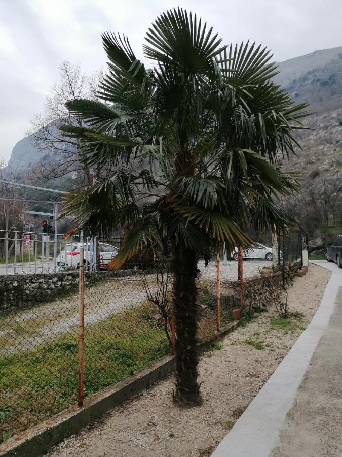Apartmani Taki Μόσταρ Εξωτερικό φωτογραφία