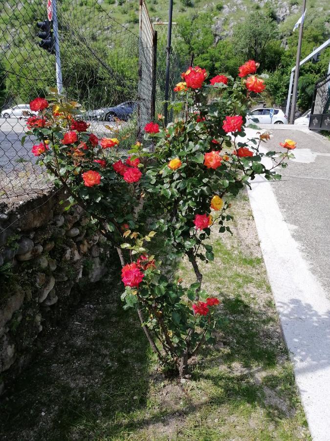 Apartmani Taki Μόσταρ Εξωτερικό φωτογραφία
